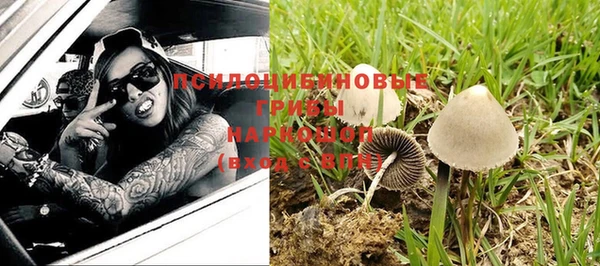 гидропоника Абдулино