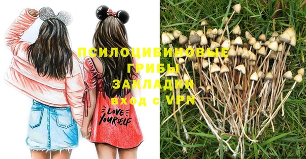 гидропоника Абдулино