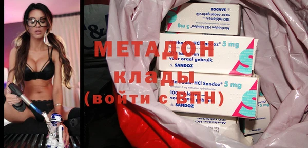 прущие грибы Алексин