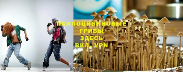 гидропоника Абдулино