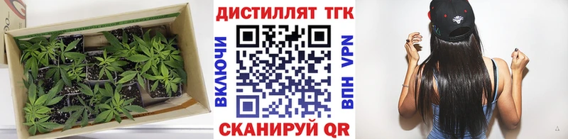 ТГК вейп Кострома