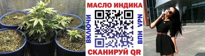 omg вход  Кострома  ТГК Wax 