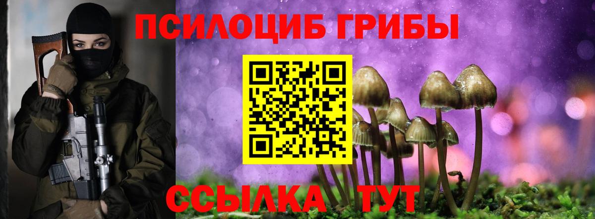 Кострома  Галлюциногенные грибы MAGIC MUSHROOMS  Вход с VPN 