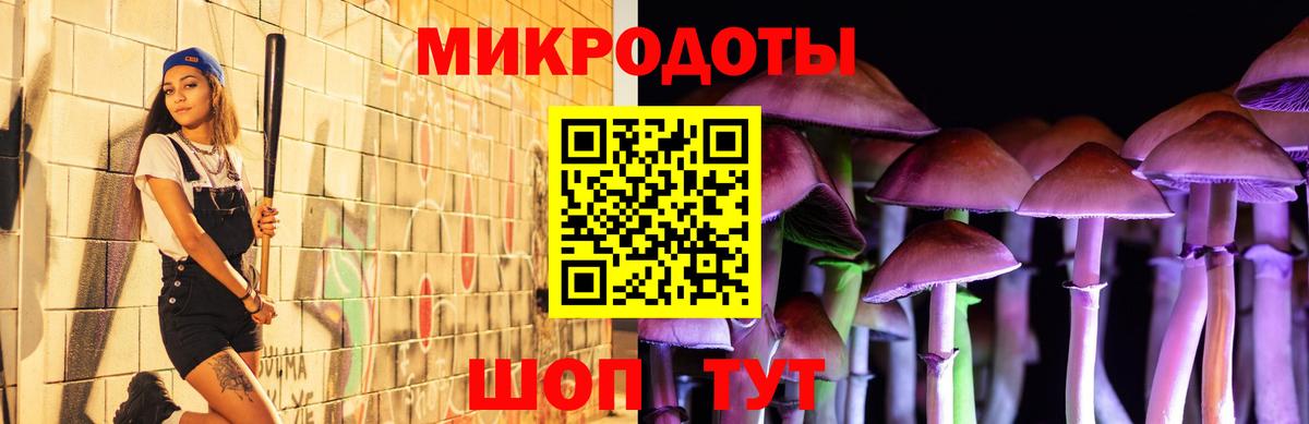 Галлюциногенные грибы Cubensis Кострома